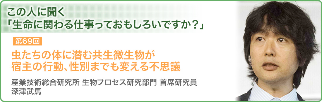 虫たちの体に潜む共生微生物が宿主の行動、性別までも変える不思議 産業技術総合研究所 生物プロセス研究部門 首席研究員 深津武馬