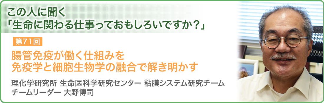 腸管免疫が働く仕組みを免疫学と細胞生物学の融合で解き明かす 理化学研究所 生命医科学研究センター 粘膜システム研究チーム チームリーダー 大野博司