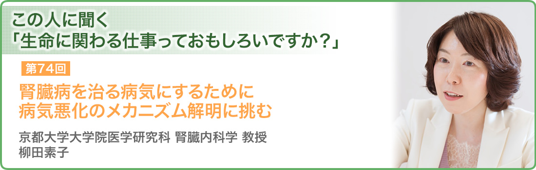 腎臓病を治る病気にするために病気悪化のメカニズム解明に挑む 京都大学大学院医学研究科 腎臓内科学 教授 柳田素子