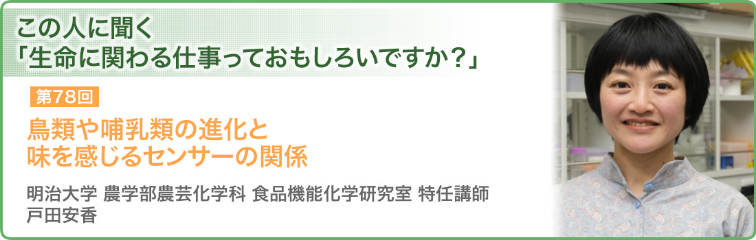 鳥類や哺乳類の進化と味を感じるセンサーの関係 明治大学 農学部農芸化学科 食品機能化学研究室　特任講師 戸田安香