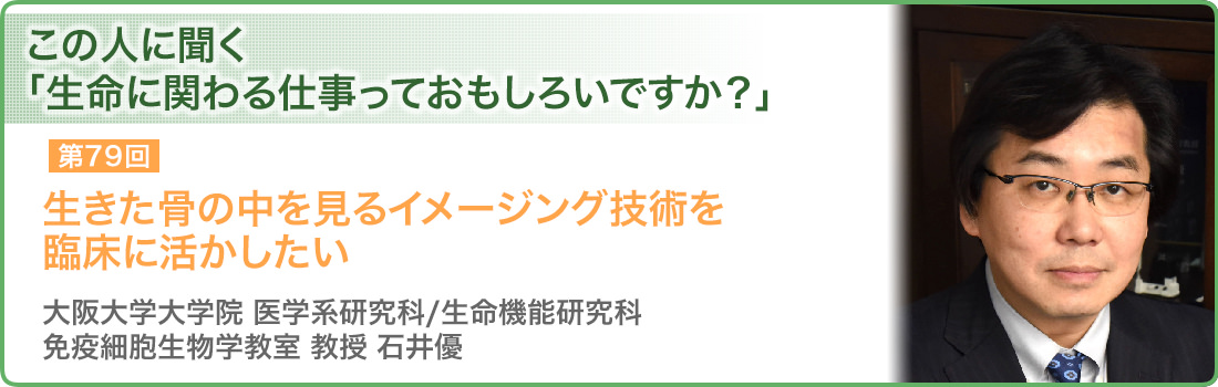 生きた骨の中を見るイメージング技術を臨床に活かしたい 大阪大学大学院 医学系研究科/生命機能研究科 免疫細胞生物学教室 教授 石井優