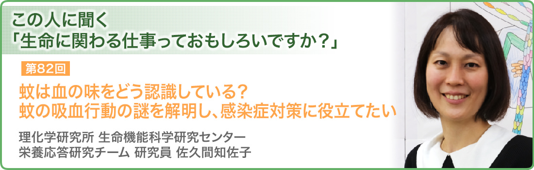 蚊は血の味をどう認識している？蚊の吸血行動の謎を解明し、感染症対策に役立てたい　理化学研究所 生命機能科学研究センター栄養応答研究チーム　研究員　佐久間知佐子