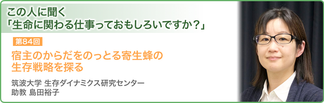 宿主のからだをのっとる寄生蜂の生存戦略を探る 筑波大学 生存ダイナミクス研究センター 助教 島田裕子