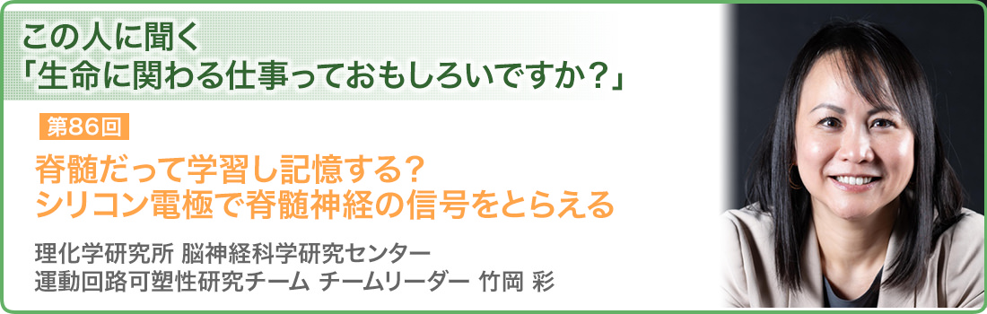 脊髄だって学習し記憶する？シリコン電極で脊髄神経の信号をとらえる　理化学研究所 脳神経科学研究センター　運動回路可塑性研究チーム　チームリーダー　竹岡 彩