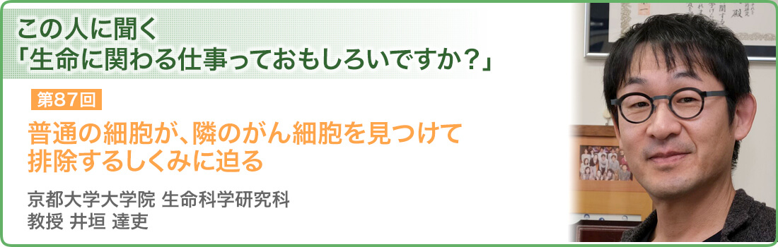普通の細胞が、隣のがん細胞を見つけて排除するしくみに迫る  京都大学大学院 生命科学研究科 教授　井垣 達吏