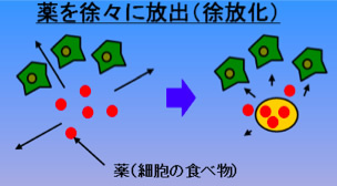 薬を徐々に放出（除放化）