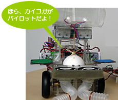 ほら、カイコガがパイロットだよ!