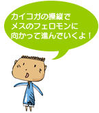 カイコガの操縦でメスのフェロモンに向かって進んでいくよ!