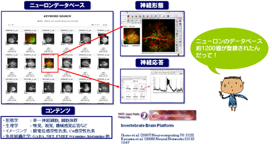 ニューロンのデータベース約1200個が登録されたんだって！