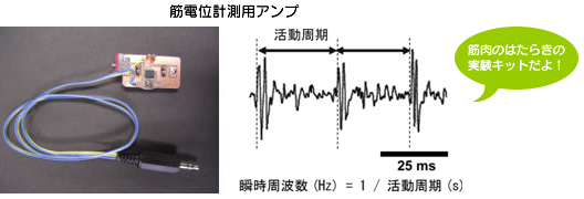 筋肉のはたらきの実験キットだよ！