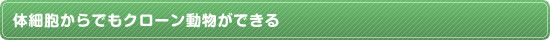 体細胞からでもクローン動物ができる