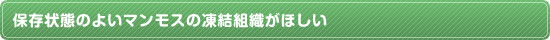 保存状態のよいマンモスの凍結組織がほしい