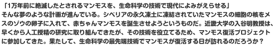 「1万年前に絶滅したとされるマンモスを、生命科学の技術で現代によみがえらせる」
そんな夢のような計画が進んでいる。シベリアの永久凍土に凍結されていたマンモスの細胞の核をメスのゾウの卵子に入れて、赤ちゃんマンモスを誕生させようというものだ。近畿大学の入谷明教授は、早くから人工授精の研究に取り組んできたが、その技術を役立てるため、マンモス復活プロジェクトに参加してきた。果たして、生命科学の最先端技術でマンモスが復活する日が訪れるのだろうか？
