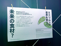 ‘おいしく食べる’の科学展