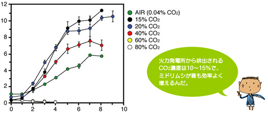 火力発電所から排出されるCO2濃度は10~15%で、ミドリムシが最も効率よく増えるんだ。