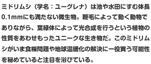 ミドリムシ（学名：ユーグレナ）は池や水田にすむ体長0.1ｍｍにも満たない微生物。鞭毛によって動く動物でありながら、葉緑体によって光合成を行うという植物の性質をあわせもったユニークな生き物だ。このミドリムシがいま食糧問題や地球温暖化の解決に一役買う可能性を秘めていると注目を浴びている。