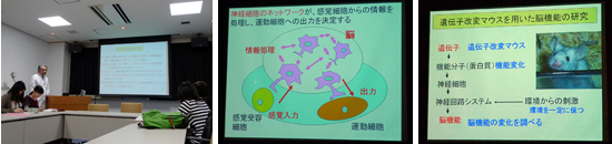 脳の働きの基本レクチャー