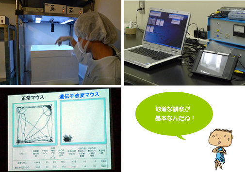 マウスの行動解析を行う部屋
