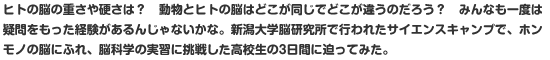 ヒトの脳の重さや硬さは？　動物とヒトの脳はどこが同じでどこが違うのだろう？　みんなも一度は疑問をもった経験があるんじゃないかな。新潟大学脳研究所で行われたサイエンスキャンプで、ホンモノの脳にふれ、脳科学の実習に挑戦した高校生の3日間に迫ってみた。