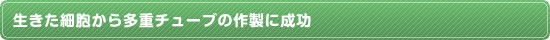 生きた細胞から多重チューブの作製に成功