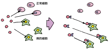 イラスト：標的細胞へのターゲティング