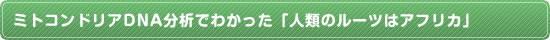 ミトコンドリアDNA分析でわかった「人類のルーツはアフリカ」