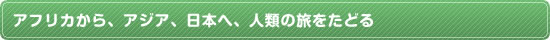 アフリカから、アジア、日本へ、人類の旅をたどる