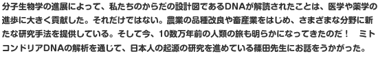 分子生物学の進展によって、私たちのからだの設計図であるDNAが解読されたことは、医学や薬学の進歩に大きく貢献した。それだけではない。農業の品種改良や畜産業をはじめ、さまざまな分野に新たな研究手法を提供している。そして今、10数万年前の人類の旅も明らかになってきたのだ！　ミトコンドリアDNAの解析を通じて、日本人の起源の研究を進めている篠田先生にお話をうかがった。