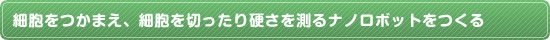 細胞をつかまえ、細胞を切ったり硬さを測るナノロボットをつくる