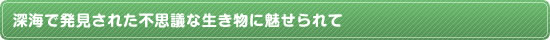 深海で発見された不思議な生き物に魅せられて