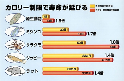 イラスト図