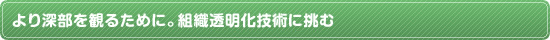 より深部を観るために。組織透明化技術に挑む