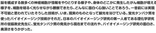 脳を構成する数多くの神経細胞が情報をやりとりする様子や、身体のどこかに発生したがん細胞が増える様子を、細胞を明るく光らせながら観察できたら、どんなに面白く心強いことであろう。一昔前には実現不可能と思われていたそうした技術が、いま、現実のものとなって脚光を浴びている。蛍光タンパク質を使ったバイオイメージング技術がそれだ。日本のバイオイメージング研究の第一人者である理化学研究所の宮脇敦史先生に、蛍光タンパク質の発見から現在までの流れや、バイオイメージング研究の面白さ、奥深さをうかがった。