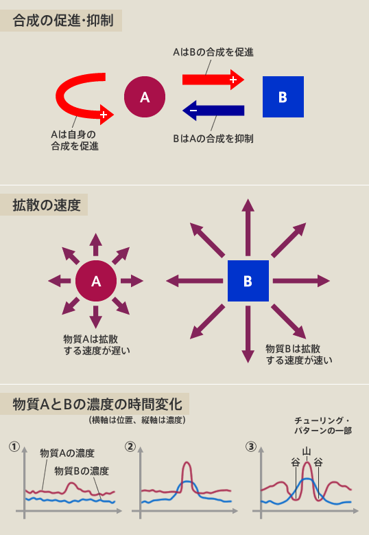 チューリング理論の概念図