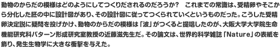 動物のからだの模様はどのようにしてつくりだされるのだろうか？　これまでの常識は、受精卵やそこから分化した胚の中に設計図があり、その設計図に従ってつくられていくというものだった。こうした受精卵決定説に疑問を投げかけ、動物のからだの模様は「波」がつくると提唱したのが、大阪大学大学院生命機能研究科パターン形成研究室教授の近藤滋先生だ。その論文は、世界的科学雑誌「Nature」の表紙を飾り、発生生物学に大きな衝撃を与えた。