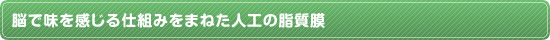 脳で味を感じる仕組みをまねた人工の脂質膜