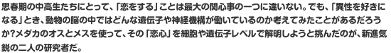 思春期の中高生たちにとって、「恋をする」ことは最大の関心事の一つに違いない。でも、「異性を好きになる」とき、動物の脳の中ではどんな遺伝子や神経機構が働いているのか考えてみたことがあるだろうか？　メダカのオスとメスを使って、その「恋心」を細胞や遺伝子レベルで解明しようと挑んだのが、新進気鋭の二人の研究者だ。