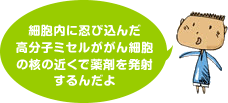 細胞内に忍び込んだ高分子ミセルががん細胞の核の近くで薬剤を発射するんだよ