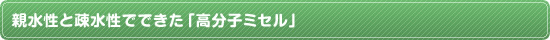親水性と疎水性でできた「高分子ミセル」