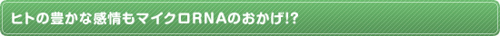 ヒトの豊かな感情もマイクロRNAのおかげ！？