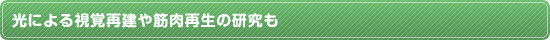 光による視覚再建や筋肉再生の研究も