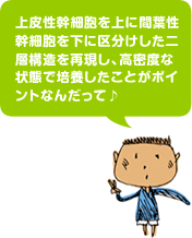 上皮性幹細胞を上に間葉性幹細胞を下に区分けした二層構造を再現し、高密度な状態で培養したことがポイントなんだって♪