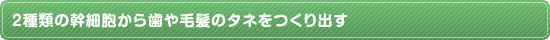 2種類の幹細胞から歯や毛髪のタネをつくり出す