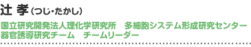 辻 孝(つじ・たかし)  国立研究開発法人理化学研究所　多細胞システム形成研究センター
器官誘導研究チーム　チームリーダー