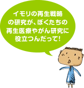 イモリの再生戦略の研究が、ぼくたちの再生医療やがん研究に役立つんだって!