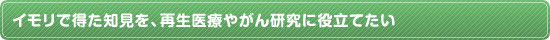 イモリで得た知見を、再生医療やがん研究に役立てたい