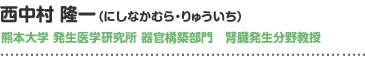 西中村隆一（にしなかむら・りゅういち）熊本大学 発生医学研究所 器官構築部門　腎臓発生分野教授