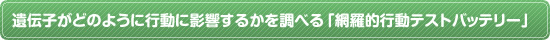 遺伝子がどのように行動に影響するかを調べる「網羅的行動テストバッテリー」