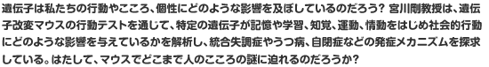 遺伝子は私たちの行動やこころ、個性にどのような影響を及ぼしているのだろう？ 宮川剛教授は、遺伝子改変マウスの行動テストを通じて、特定の遺伝子が記憶や学習、知覚、運動、情動をはじめ社会的行動にどのような影響を与えているかを解析し、統合失調症やうつ病、自閉症などの発症メカニズムを探求している。はたして、マウスでどこまで人のこころの謎に迫れるのだろうか？