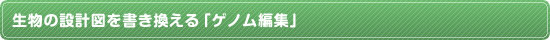 生物の設計図を書き換える「ゲノム編集」